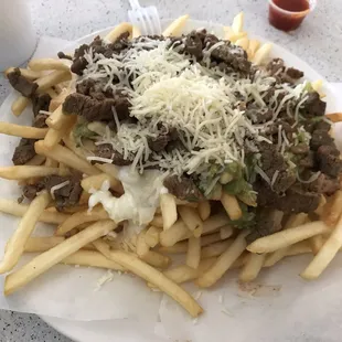 Carne Asada Fries -- small plate! Yum yum