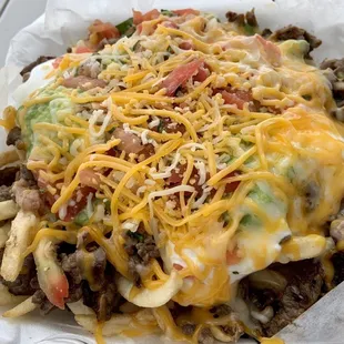 Carne Asada Fries