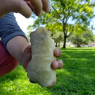 Chile Relleno Burrito