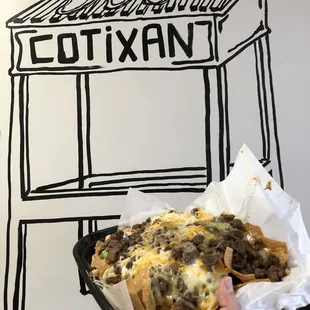 Carne asada chips n fries