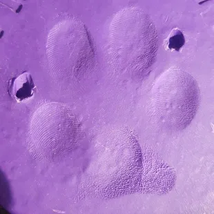 Picture of the so called foot print, obviously made using someone's fingers. @ Cotner Pet Care - Superior Pet Care.