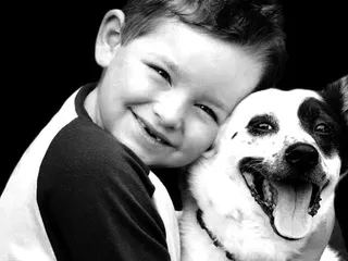 Companion Care Veterinary Clinic