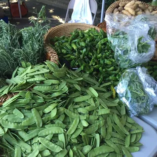 Rosemary Pete is my favorite!