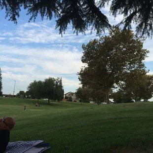 Lots of room to run in