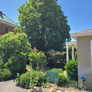 It's a little oasis.