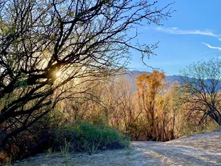 Roper Lake State Park