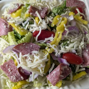 Antipasto salad , only 1 piece of salami ?