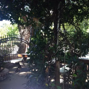 The patio at the cottage mart.