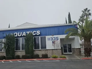 The Northern California Swimstitute