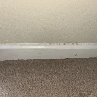 "cleaning crew services and fresh paint"  This lined the entire bedroom, along with terribly stained carpet.
