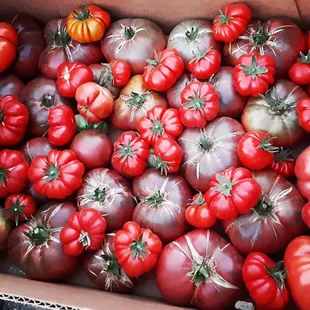 a box of tomatoes