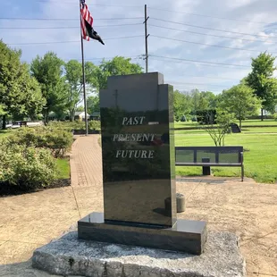 Past, present and future veterans