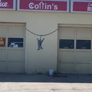 A painting of a possum on the back store wall