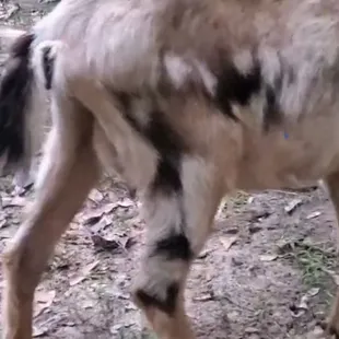 Moms skinny hips and back