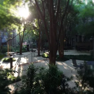 Great surroundings to live in