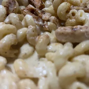 Chicken Alfredo Pasta