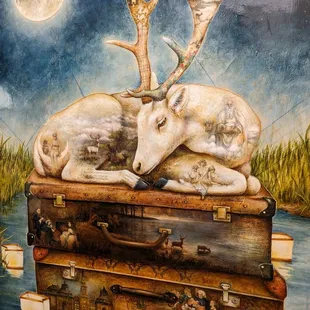 Check out all the scenes within the scene