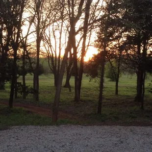 Our walking trail at sunset.