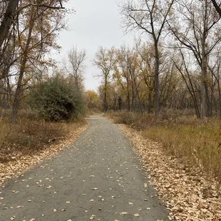 Autumn trail in Cherry creek
