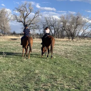 Riding out on the cross country field