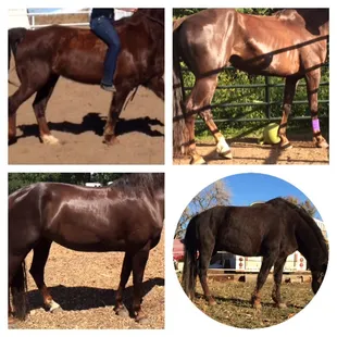 Before, immediately after, and after rehab