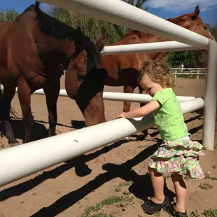 Kids of all ages love Cottonwood