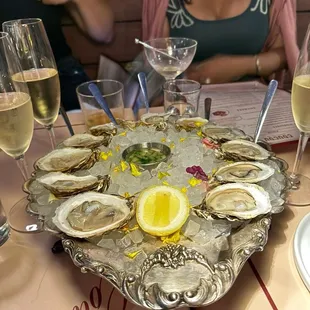 Oysters