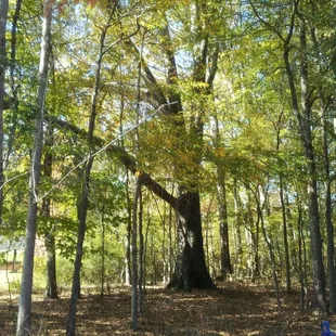 sit on the deck when weather is nice
