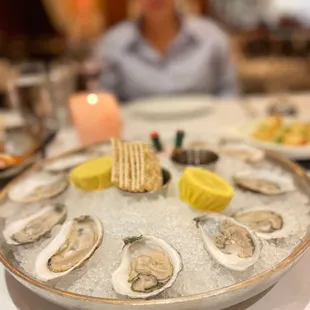 Dozen east coast oysters