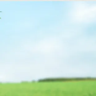 Remember, happiness doesn't depend upon who you are or what you have. It depends solely upon what you think.