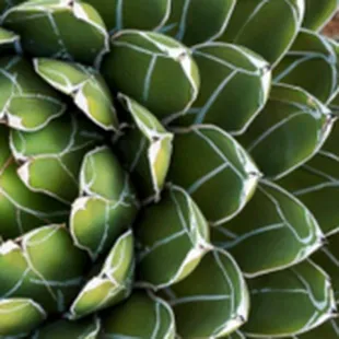 All life is an experiment. The more experiments you make the better. 