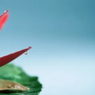 Life isn't about finding yourself. It's about creating yourself. 