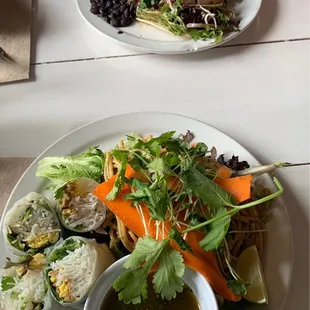 Asian plate and food truck (ahi) tacos