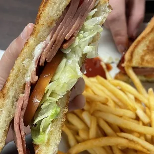a person holding a sandwich and french fries
