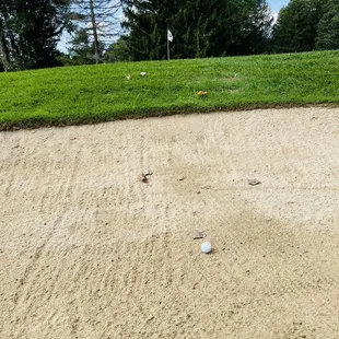 Another Day at the Beach