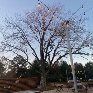 Outside picnic benches