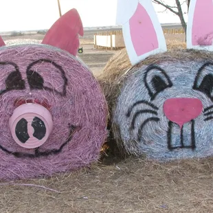 Haybales