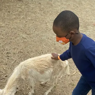 Petting zoo has goats, sheep, pigs, and rabbits. We also saw horses, mules, donkeys, and ponies.