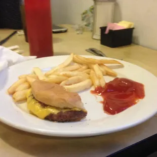 A quarter of the kid's hamburger (already eaten by hungry child) and fries.