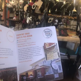 a hand holding a brochure