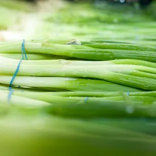 a pile of green onions