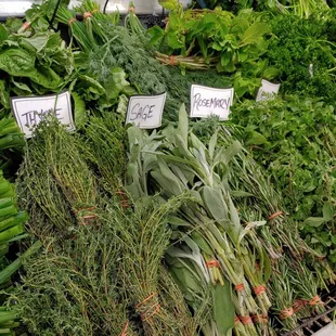 Beautiful fresh herbs
