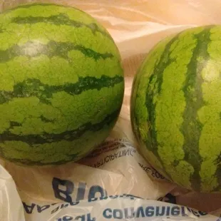 Personal Watermelons on sale for $0.99 each.
