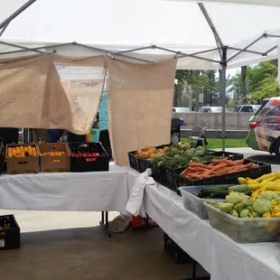 a variety of fruits and vegetables