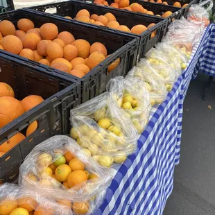 Lots of citrus quats!