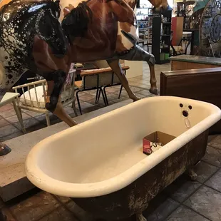 This would be awesome w succulents or annuals in yard