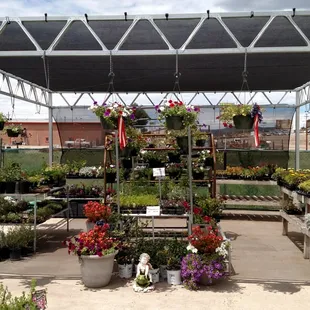 Just a few or out annuals