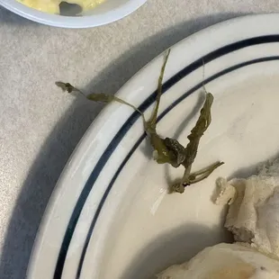 Found this in my green beans.