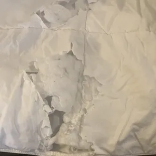 Torn/shredded sofa bed comforter.