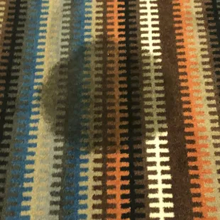 Carpet stain in the hallway